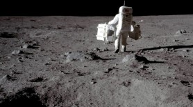 Ce s-a întâmplat cu gândacii care au mâncat praf de pe lună. Oamenii de știință au observat efectele